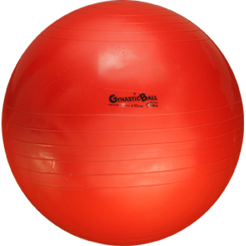 Bola Gynastic Ball 55cm Verde - Carci